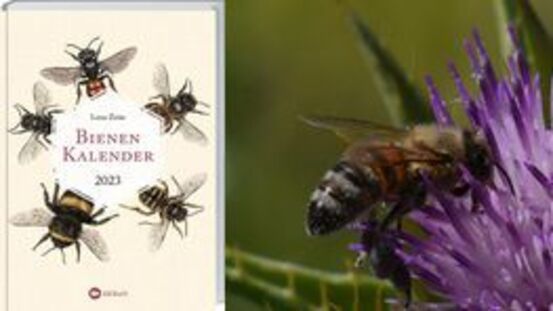 Buchtipp No142: Der Bienenkalender