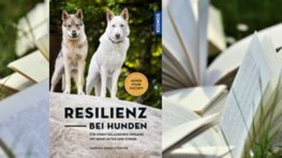 Buchtipp No151: Resilienz bei Hunden [05|22]