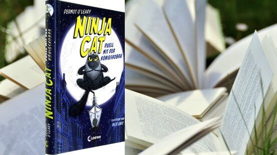 Buchtipp No175: Ninja Cat und die Königskobra