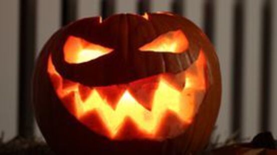 Halloween: wovor Vierbeinern gruselt und was Freude macht