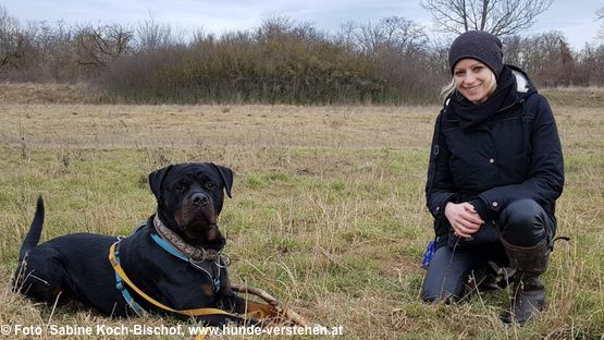 Sabine Koch-Bischof schreibt auf petdoctors über das Verhalten von Hunden