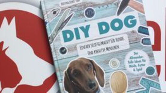 Buchtipp No2: DYS Dog