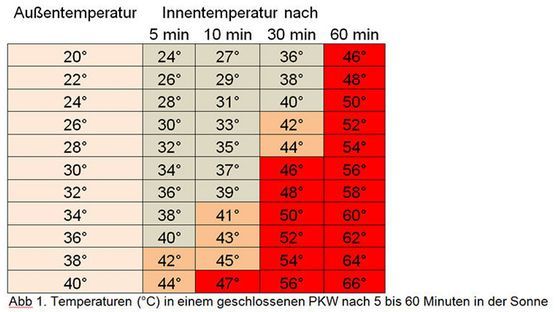 Hitze im auto artikel li