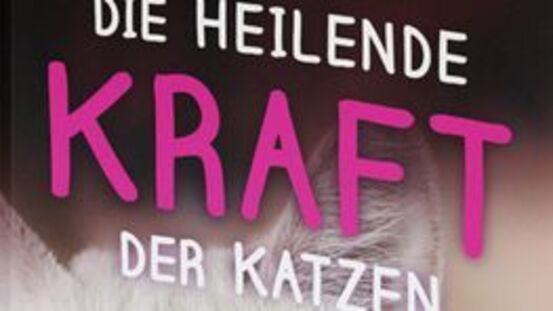 Buchtipp No1: Die heilende Kraft der Katzen