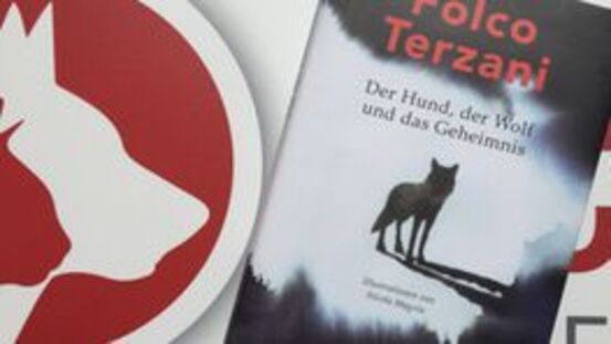 Buchtipp No12: Der Hund, der Wolf und das Geheimnis