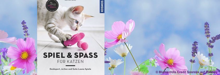 Buchtipp No13: Spiel und Spaß für Katzen