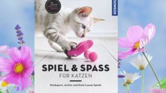 Buchtipp No13: Spiel und Spaß für Katzen