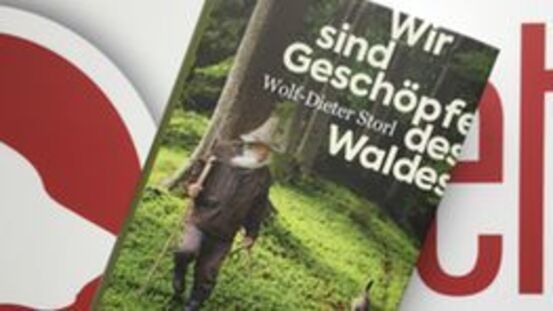 Buchtipp No9: Wir sind Geschöpfe des Waldes