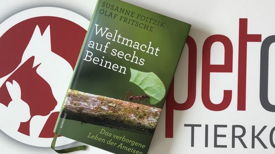 Wetmacht artikel
