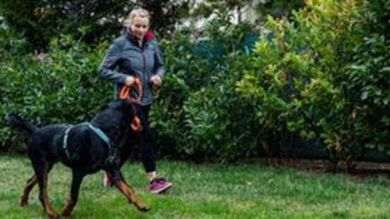 6 Tipps fürs Joggen mit dem Hund