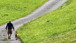 Hund und her beim Spaziergang