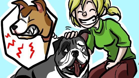 Den Hund freundliche Anlächeln - eine Drohgebärde Nicht breit anlächeln, sie könnten missverstanden werden. Und bitte nicht am Kopf streicheln!