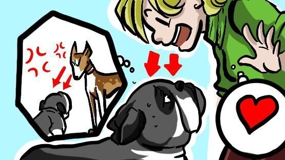 Einem Hund direkt in die Augen starren. Einem Hund in die Augen sehen ist für ihn ein klares Bedrohungssignal