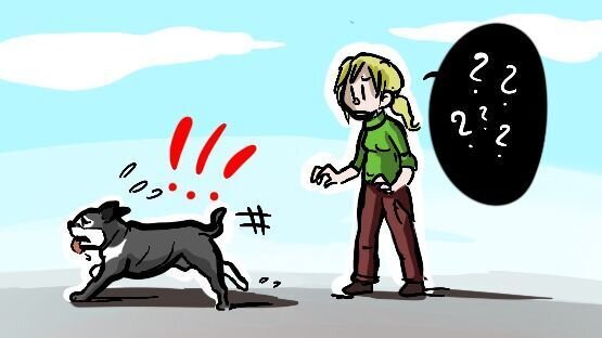 Im besten Fall ist nichts passiert. Der Hund nützt die Chance und kann sich zurückziehen.