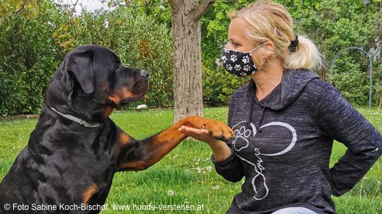 Sabine Koch-Bischof ist petdoctors Expertin und leitet die Hundeschule www.hunde-verstehen.at