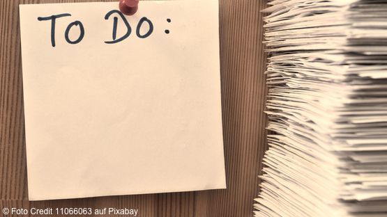 PetdoctorsTipps, Checkliste, Vorbereitung Operation, Nach der Operation, Schutzmaßnahmen, Ernährung, 