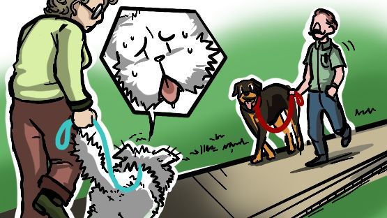 "Hilfeeeeee!!!!" Da kommt ein großer Hund.