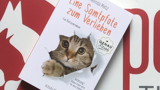 Ein Katzenroman nicht nur für Freunde von Samtpfoten