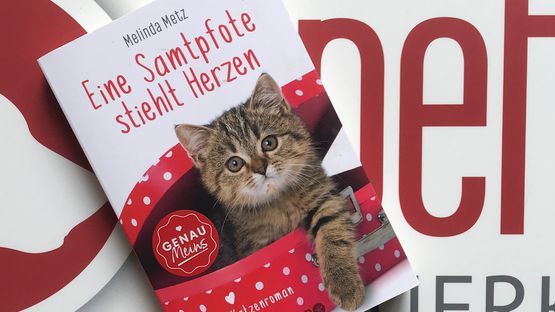 Ein Katzenroman von Melinda Metz