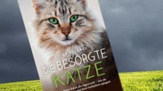 Buchtipp No30: Die besorgte Katze: Was ihre Katze Ihnen sagen will