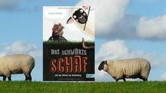 Buchtipp No34: Das schwarze Schaf und das Rätsel von Baskeltorp