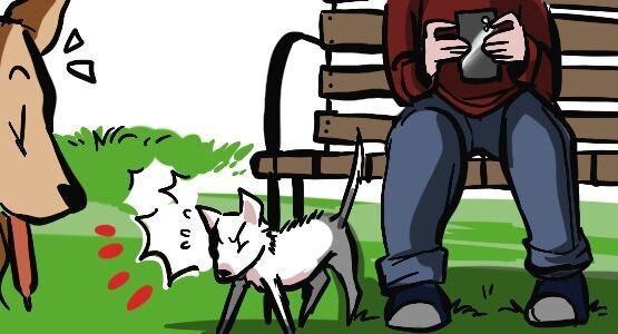 Der Chihuahua rettet sich zu seinem Herrl und "friert ein" Die Situation ist bereits eskaliert, die Zeichen stehen auf Kampf.