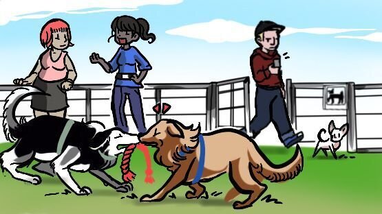 Schlechte Karten für den Chihuahua in der Hundezone. Niemand achtet auf die Hunde. Der Kleine ist bereits aufmerksam und angespannt.