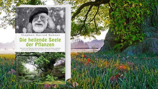 Buchtipp No36: Die heilende Seele der Pflanzen