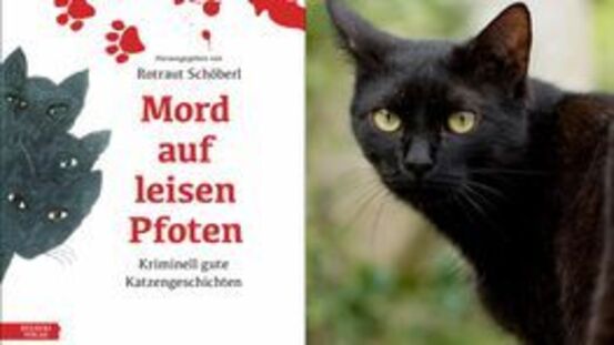 Buchtipp No38: Mord auf leisen Pfoten