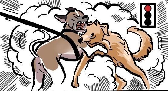 Die Hunde gehen vom Zwicken zum Beissen über. Noch gehemmt und nicht mit voller Kraft. In dieser Eskalationsphase treten bereits Hautverletzungen und Blutergüsse (Hämatome) auf.