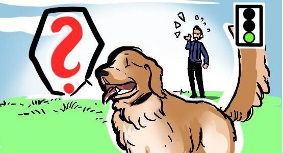 Der Rückruf funktioniert nur dann wenn sie die Aufmerksamkeit Ihres Hundes haben. Einen Hund der zurück kommt immer loben