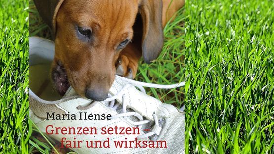 animal Learn Verlag: Verhalten aus der Perspektive der Hunde betrachtet