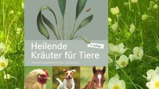 Buchtipp No52: Heilende Kräuter für Tiere