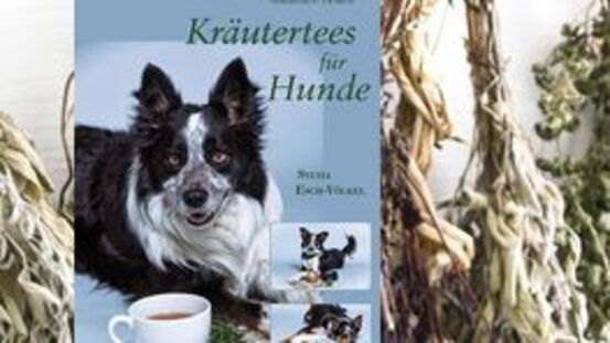 Buchtipp No64: Kräutertees für Hunde