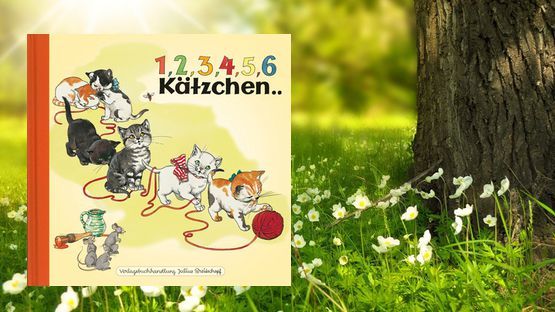 Kinderbuch zum Vorlesen über die Abenteuer von 6 Kätzchen