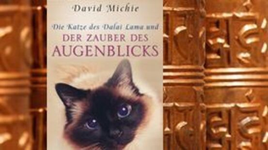 Buchtipp No70: Die Katze des Dalai Lama