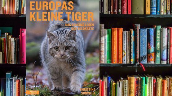 Das geheime Leben der Wildkatze von Christina Sonvilla, Residenz Verlag