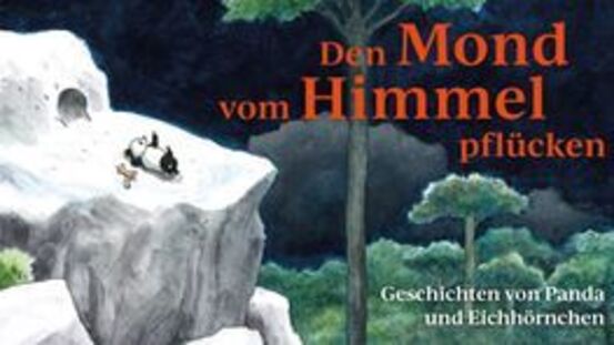 Buchtipp No81: Den Mond vom Himmel pflücken [08|21]