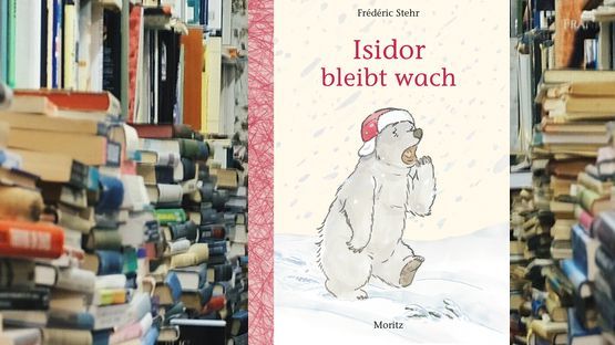 Kinderbuch, ab 6 Jahren, Frédéric Stehr, Moritz Verlag