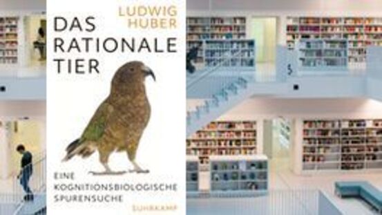 Buchtipp No116: Das rationale Tier