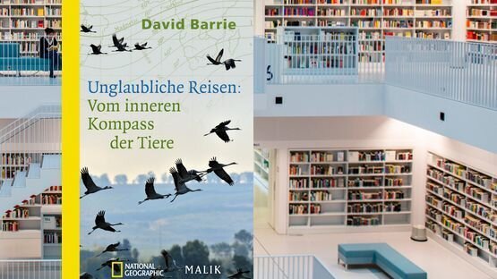 PetdoctorsTipp, Sachbuch, Natur, David Barrie, Verlag Malik 
