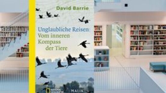 Buchtipp No122: Unglaubliche Reisen 