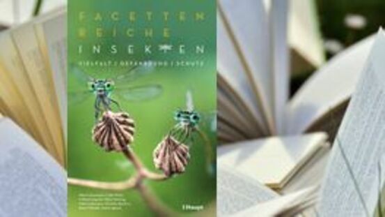 Buchtipp No125: Facettenreiche Insekten