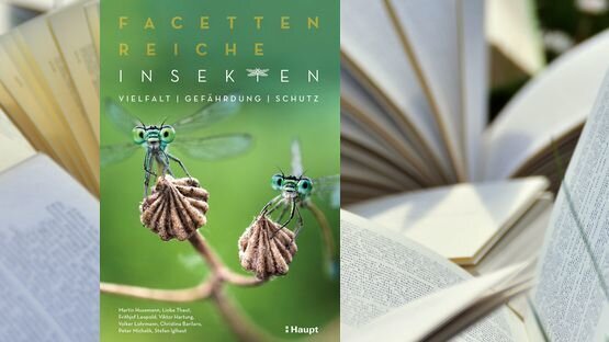 PetdoctorsChoice, Umwelt, Natur, Insekten, Sachbuch, Martin Husemann, Lioba Thaut, Verlag Haupt