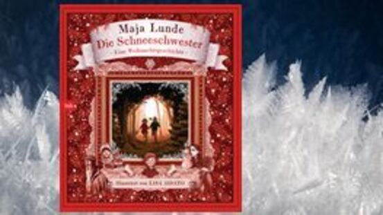 Buchtipp No126: Die Schneeschwester  [12|21]