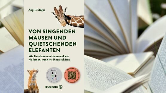 PetdoctorsChoice, Sachbuch, Kommunikation, Angela Stöger, Verlag Brandstätter 