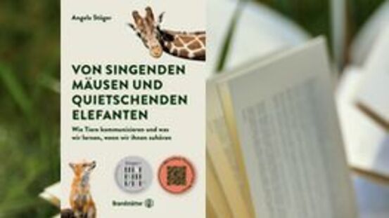 Buchtipp No130: Von singenden Mäusen & quietschenden Elefanten