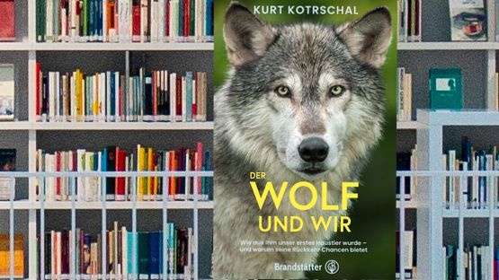 PetdoctorsChoice Buch, Natursachbuch, Verhaltensforschung, Wolf, Hund, Kurt Kotrschal, Verlag Brandstätter 