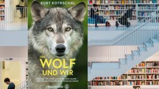 Buchtipp No132: Der Wolf und wir [03|22]