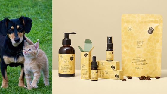 Advertorial Biobloom: CBD Produkte, Bio, Hund, Katze, Wohlbefinden, Entspannung, Ausgeglichenheit, Vitalität, Österreichische Produktion